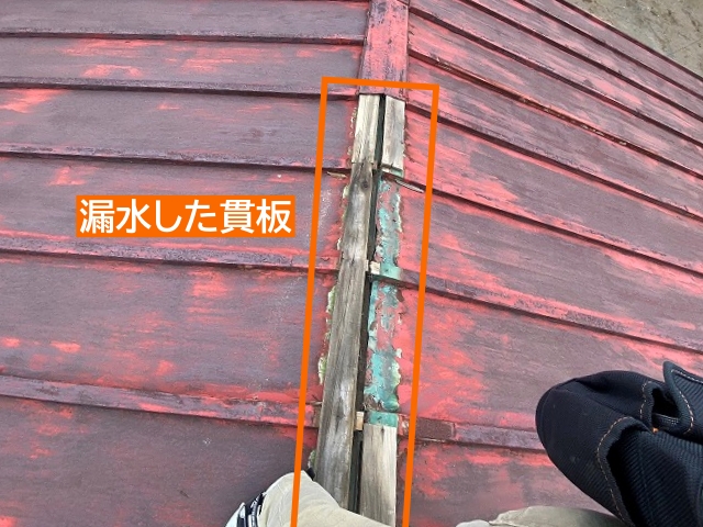 トタン屋根貫板に雨水が漏水